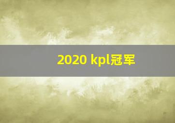 2020 kpl冠军